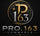 PRO. 163 Commerce - Home